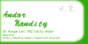 andor mandity business card
